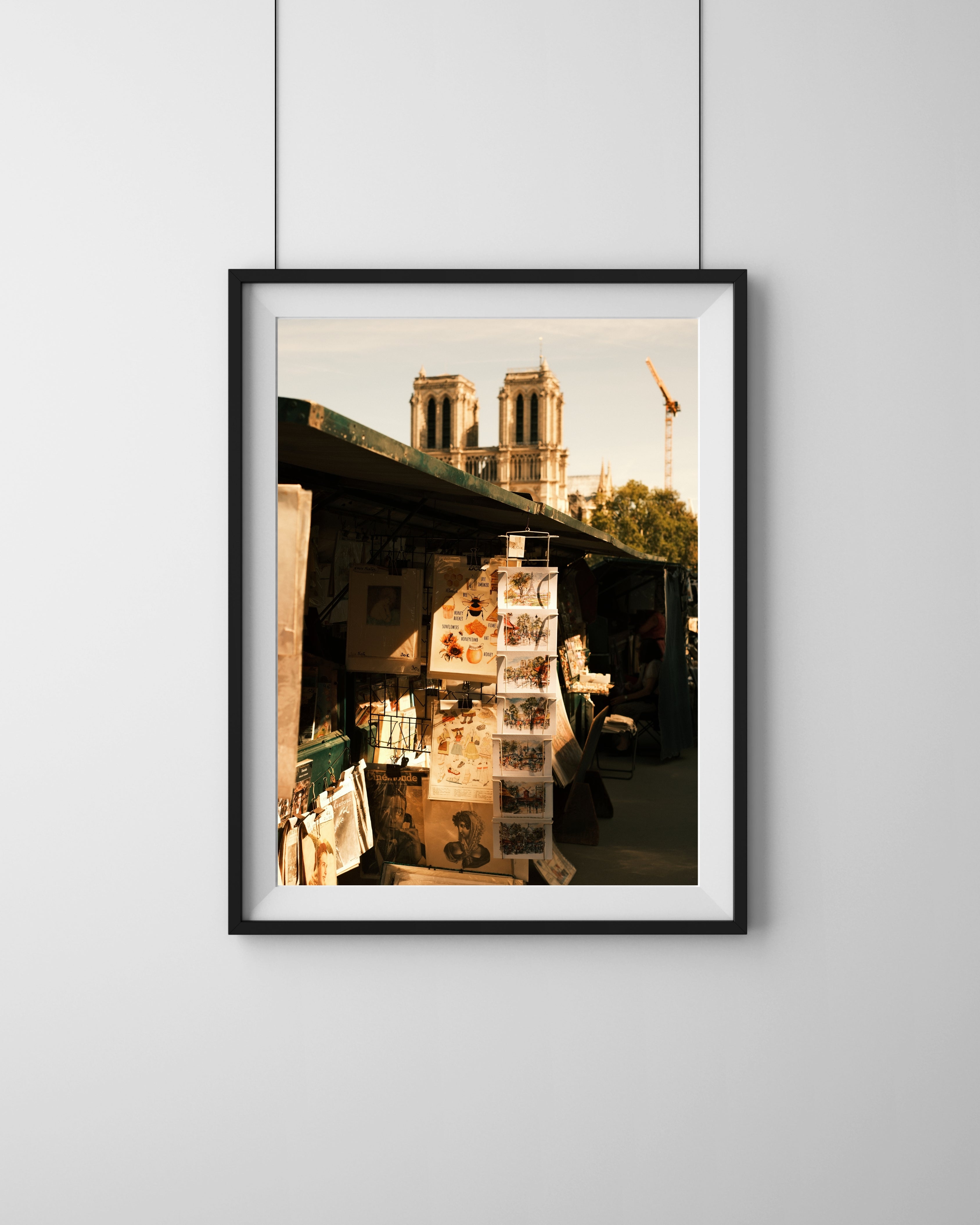 Notre Dame Paris – Fine Art Print von Luca Darius Salehi, goldenes Nachmittagslicht Notre-Dame Kathedrale, Wahrzeichen Paris Hahnemühle Pearl